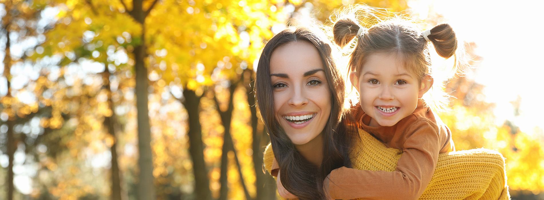 CEREC Dentist Crown Point IN